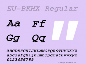 EU-BKHX 2000;1.00图片样张