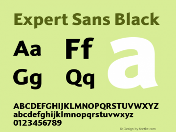 Expert Sans Black Version 1.0 Font Sample