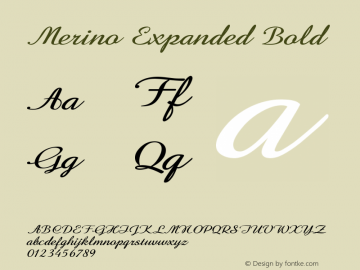 Merino-ExpandedBold Version 1.000图片样张