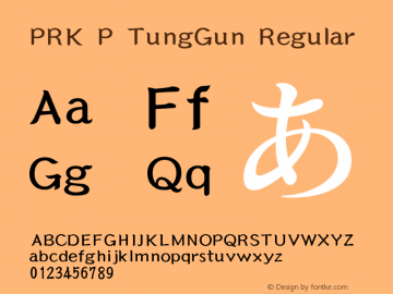 PRK P TungGun 2.5图片样张