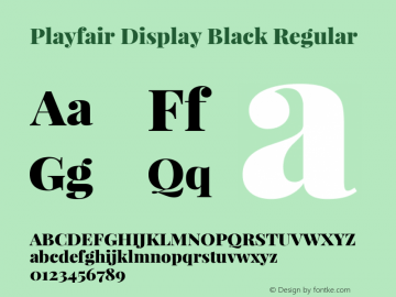 Playfair Display Black Version 1.002;PS 001.002;hotconv 1.0.70;makeotf.lib2.5.58329; ttfautohint (v0.93) -l 42 -r 42 -G 200 -x 14 -w 