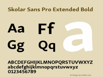 SkolarSansPro-ExtendedBold Version 1.000;PS 001.001;hotconv 1.0.56图片样张