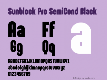 Sunblock Pro SemiCond Black Version 1.000图片样张