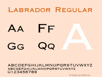 Labrador Brendel            :07.07.1995 Font Sample