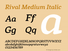 Rival Medium Italic Version 1.000;PS 001.000;hotconv 1.0.88;makeotf.lib2.5.64775 Font Sample