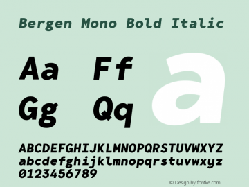 Bergen Mono Bold Italic Version 1.000图片样张