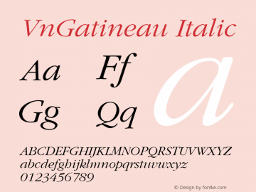 VnGatineau Italic 001.003图片样张