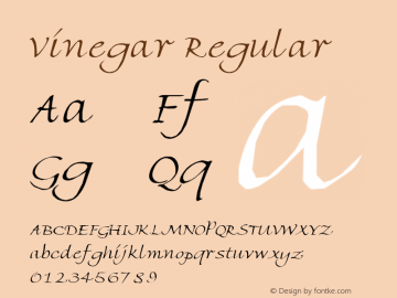 Vinegar Brendel            :19.07.1995图片样张