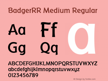 BadgerRR Medium Version 1.00图片样张