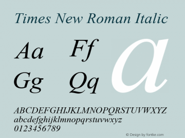 Times New Roman Italic Version 5.00.3x图片样张