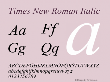 Times New Roman Italic Version 5.00.3x图片样张
