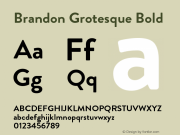 Brandon Grotesque Bold Regular Version 001.000 Font Sample