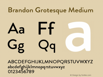 Brandon Grotesque Medium Regular Version 001.000 Font Sample