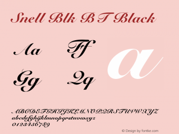 Snell Blk BT Black mfgpctt-v1.58 Thursday, March 4, 1993 9:00:30 am (EST) Font Sample