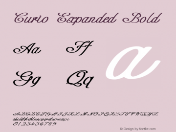 Curio-ExpandedBold Version 1.000 Font Sample