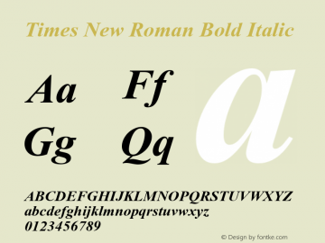 Times New Roman  Bold Italic Macromedia Fontographer 4.1.5 6/12/99图片样张