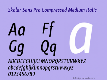 SkolarSansPro-CmMediumItalic Version 1.000;PS 001.001;hotconv 1.0.56图片样张