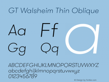 GT Walsheim Thin Oblique Version 1.001图片样张