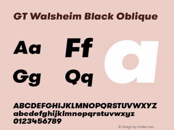 GT Walsheim Black Oblique Version 1.001图片样张