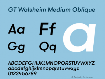 GT Walsheim Medium Oblique Version 1.001图片样张