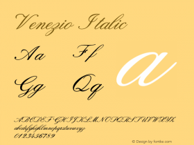 Venezio-Italic Version 1.000图片样张