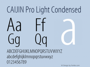 CAIJIN Pro Light Condensed Version 2.006;PS 002.000;Core 1.0.38;makeotf.lib1.6.6565 Font Sample