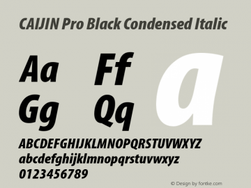 CAIJIN Pro Black Condensed Italic Version 2.006;PS 002.000;Core 1.0.38;makeotf.lib1.6.6565图片样张