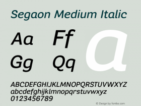 Segaon Medium Italic Version 1.000图片样张