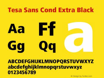 Tesa Sans Cond Extra Black Version 1.000;PS 1.10;hotconv 1.0.38图片样张