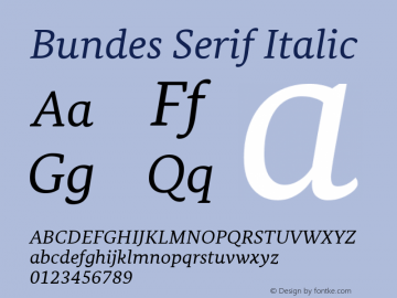 BundesSerif-Italic Version 1.909图片样张