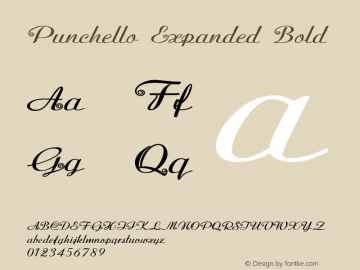 Punchello-ExpandedBold Version 1.000图片样张