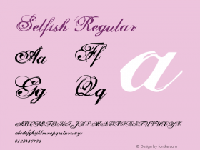 Selfish Macromedia Fontographer 4.1.2 8/17/02图片样张
