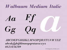 Walbaum Medium Italic 1 Font Sample