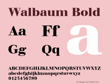 Walbaum Bold Altsys Fontographer 3.5  4/11/93图片样张