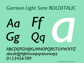 Garrison Light Sans BOLDITALIC 001.000图片样张