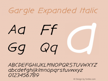 GargleExRg-Italic Version 1.000 Font Sample