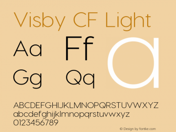 VisbyCF-Light Version 2.03300图片样张