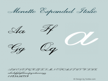 Monetto-ExpandedItalic Version 1.000 Font Sample