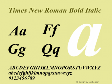 Times New Roman Bold Italic Version 5.00.3x图片样张