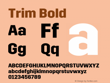 Trim Bold Version 2.000 Font Sample