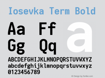 Iosevka Term Bold 1.12.3; ttfautohint (v1.6)图片样张