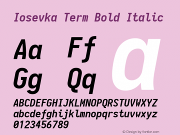 Iosevka Term Bold Italic 1.12.3; ttfautohint (v1.6)图片样张