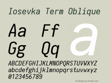 Iosevka Term Oblique 1.12.3; ttfautohint (v1.6)图片样张