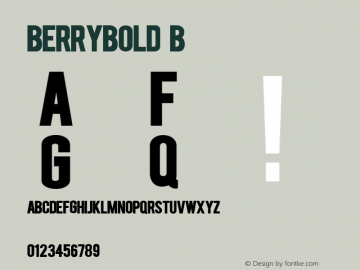 BERRYBOLD Bold Version 2.000 Font Sample