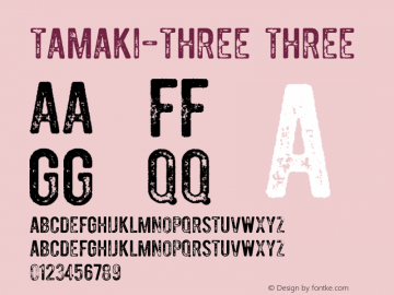 tamaki-three 1.000 Font Sample