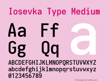 Iosevka Type Medium 1.12.4; ttfautohint (v1.6)图片样张