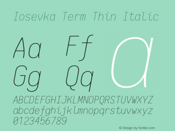 Iosevka Term Thin Italic 1.12.4; ttfautohint (v1.6)图片样张