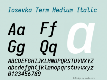 Iosevka Term Medium Italic 1.12.4; ttfautohint (v1.6)图片样张