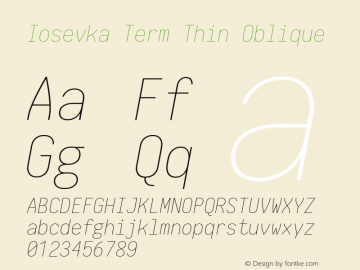 Iosevka Term Thin Oblique 1.12.4; ttfautohint (v1.6)图片样张