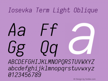 Iosevka Term Light Oblique 1.12.4; ttfautohint (v1.6)图片样张